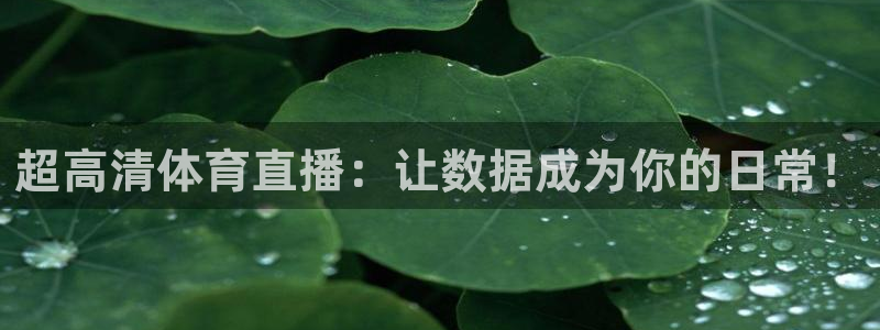 超高清体育直播：让数据成为你的日常！