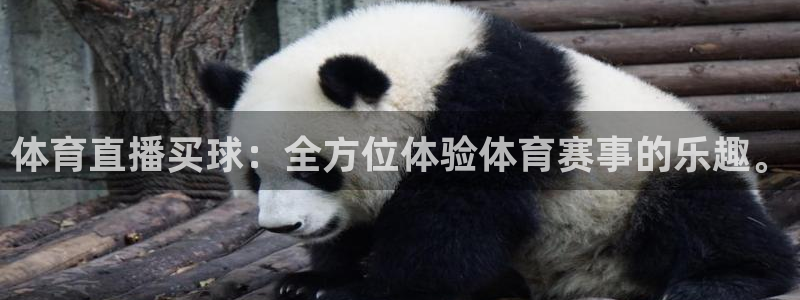 体育直播买球：全方位体验体育赛事的乐趣。