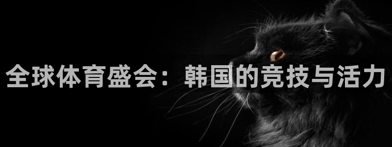 全球体育盛会：韩国的竞技与活力