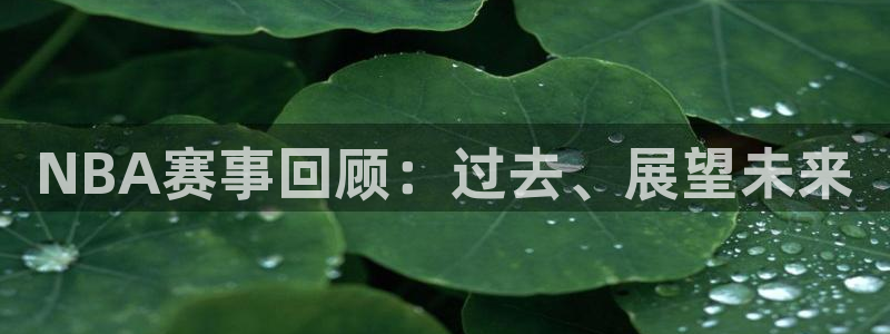 NBA赛事回顾：过去、展望未来